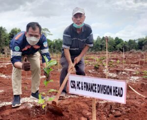 CSR, HC and Finance Division Head PT ANTAM Tbk UBPN Sultra, Dito Yulianto melakukan penanaman perdana tanaman Kakao di Kebun Edukasi desa Sopura